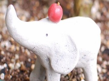 claps. | 鳥取のヘアサロン