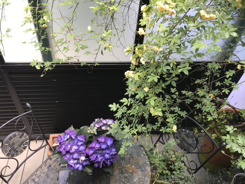 ESTACI~リラク | 大垣のリラクゼーション