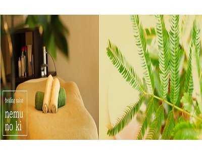 ヒーリングサロン ねむの木 | 砺波のリラクゼーション