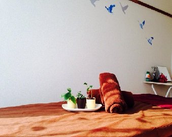 Dog&Beauty salon KiKi | 松本のエステサロン Dog&Beauty salon KiKi | 松本のエステサロン