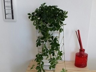 Salon ＆ School Atelier Kei~エステ | 草津のエステサロン