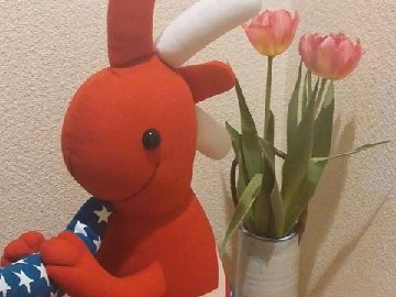 体質改善サロンkyrie | 諫早のエステサロン