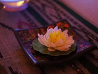 Lily | 仙台のエステサロン