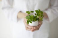 癒しの館 由美整体院 | 新潟のリラクゼーション 癒しの館 由美整体院 | 新潟のリラクゼーション