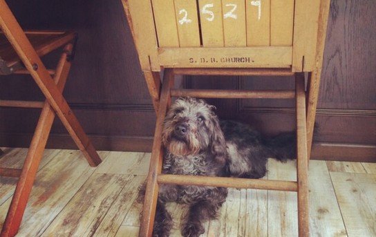 HAIR LOUNGE Kiss-A-Co | 上越のヘアサロン HAIR LOUNGE Kiss-A-Co | 上越のヘアサロン