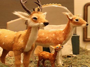 nico-nachika | 松山のヘアサロン nico-nachika | 松山のヘアサロン