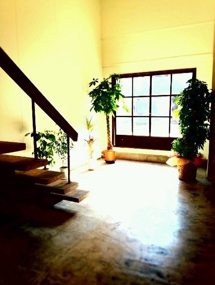 TIROIR | 倉吉のヘアサロン TIROIR | 倉吉のヘアサロン