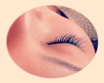 Brown Bunny Orchestra～アイラッシュ～ | 松本のアイラッシュ