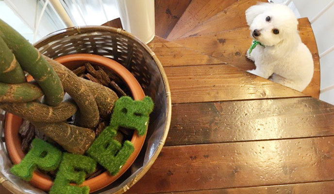 リラクゼーションサロン　ピア | 仙台のリラクゼーション