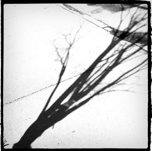 ＣＲＥＥＲ　ＨＡＩＲ | 新潟のヘアサロン