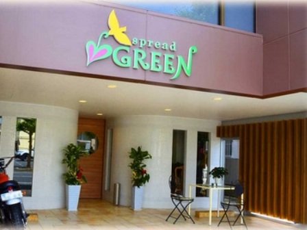 Spread Green~出水店~ | 熊本のヘアサロン