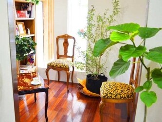 Spread Green~出水店~ | 熊本のヘアサロン