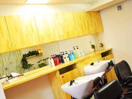 Spread Green~出水店~ | 熊本のヘアサロン