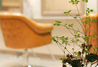 hair salon Trip (ヘアサロントリップ) | 藤沢のヘアサロン