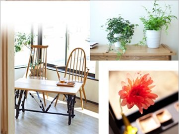 casa hiru garden | 富山のヘアサロン casa hiru garden | 富山のヘアサロン