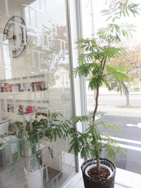 ATTACHMENT BEAUTY | 白山のヘアサロン ATTACHMENT BEAUTY | 白山のヘアサロン