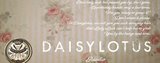 hair make daisylotus | 仙台のヘアサロン