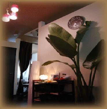 Natural Beauty Salon LOTUS | 仙台のアイラッシュ