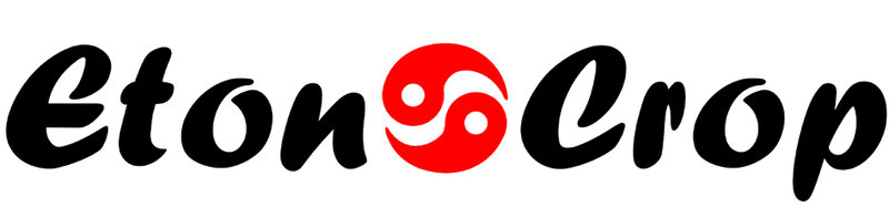 イートンクロップ郡山 | 郡山のヘアサロン