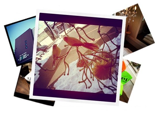 Hair and Relax peas. | 白河のヘアサロン