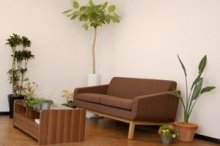 ciel hair | 袋町/本通/紙屋町/立町のヘアサロン