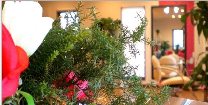 HAIR Believe Charis | 石巻のヘアサロン HAIR Believe Charis | 石巻のヘアサロン