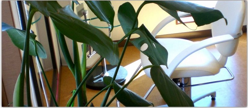 HAIR Believe Charis | 石巻のヘアサロン HAIR Believe Charis | 石巻のヘアサロン