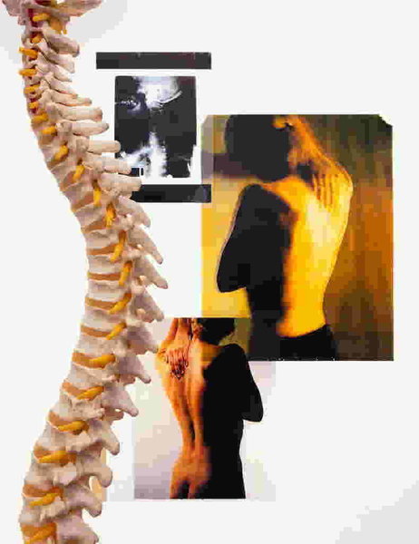 カイロプラクティックTOKU | 金沢のリラクゼーション カイロプラクティックTOKU | 金沢のリラクゼーション