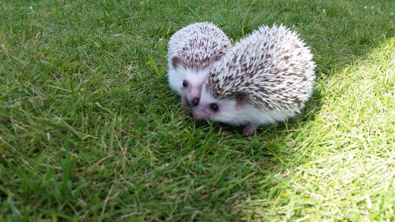 hair design Ray | 伊勢のヘアサロン