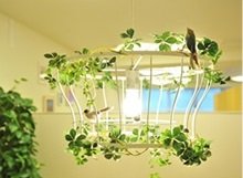 designK 本店 | 仙台のアイラッシュ designK 本店 | 仙台のアイラッシュ