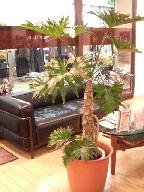 HAIR MAKE YSNIC | 徳島のヘアサロン HAIR MAKE YSNIC | 徳島のヘアサロン