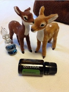 Se:ange | 奈良のエステサロン