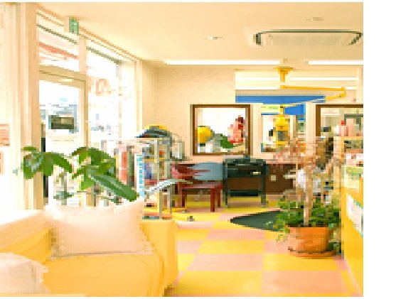 ヒップ中原店 | 平塚のヘアサロン ヒップ中原店 | 平塚のヘアサロン