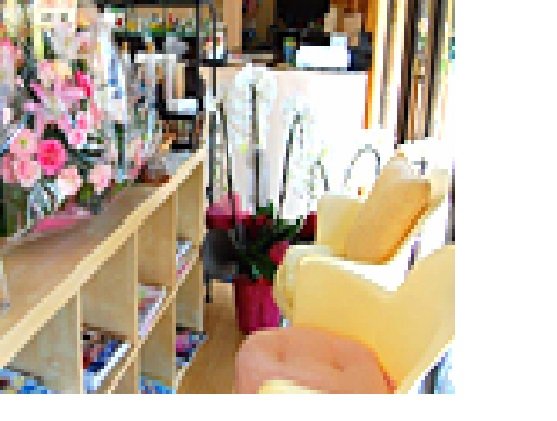 ヒップ伊勢原店 | 伊勢原のヘアサロン