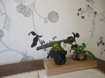 1/f HAIR GARDEN | 春日のヘアサロン