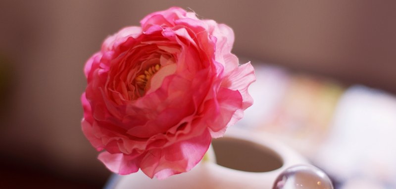 fooca | 松江のヘアサロン