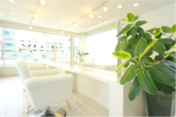 spring | 津のヘアサロン