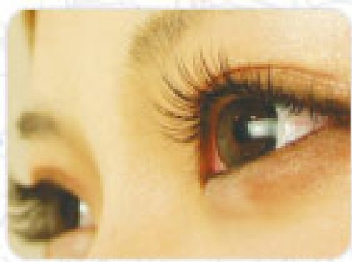 Nail&EyeLash Vina呉店【ヴィーナ】 | 呉のアイラッシュ Nail&EyeLash Vina呉店【ヴィーナ】 | 呉のアイラッシュ