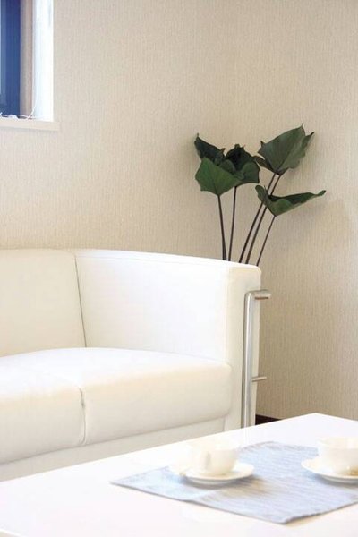 Mahouno-te | 裾野のエステサロン Mahouno-te | 裾野のエステサロン