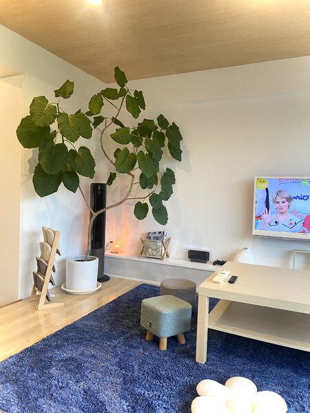 feb:ruar | 浦添のヘアサロン