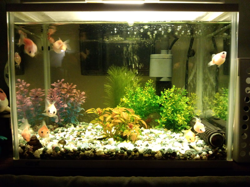 Bodycare&Relaxation ATOM | 川越のリラクゼーション