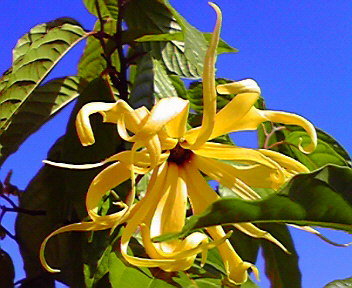 癒しの隠れ家 Aphrodite | 長井のリラクゼーション 癒しの隠れ家 Aphrodite | 長井のリラクゼーション