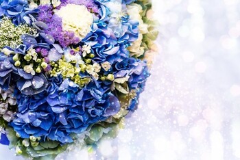 足裏療法ピュアボディ | 仙台のリラクゼーション