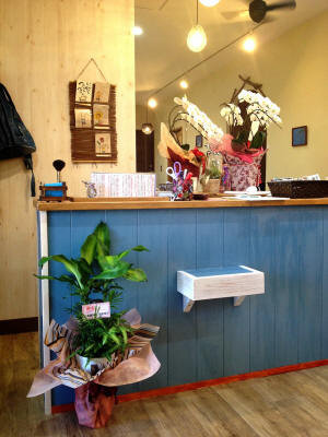 Hair DOLPHIN | 山鹿のヘアサロン