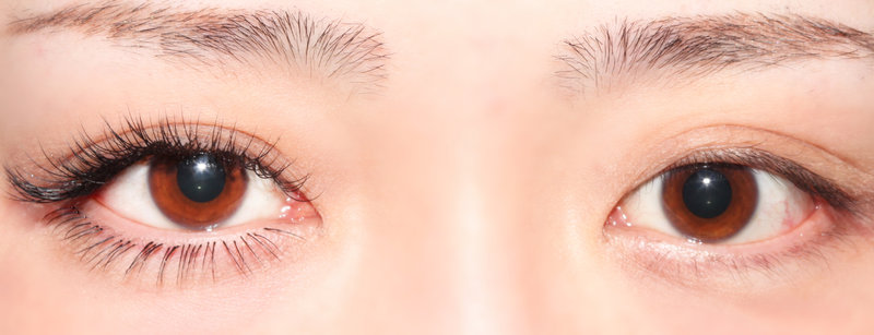 gradation秋田南通店 | 秋田のアイラッシュ