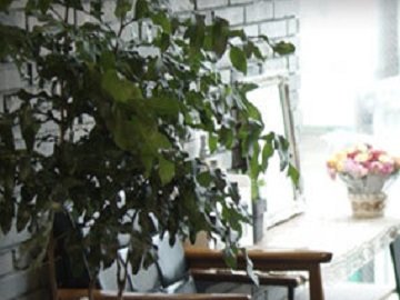 kikey | 天神/大名のヘアサロン