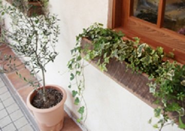 Grandir de Wakakusa | 芦屋のヘアサロン