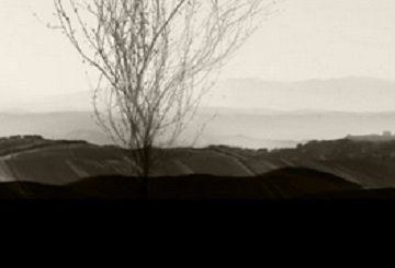 BARBARO HAIR　【バルバロ】 | 八丁堀/白島/牛田のヘアサロン