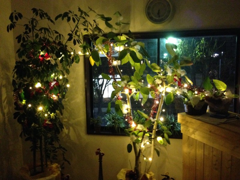 Tear Drive by Salt | 仙台のヘアサロン Tear Drive by Salt | 仙台のヘアサロン