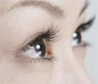 LASH DOLL ららぽーと磐田店 | 磐田のアイラッシュ